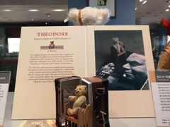 -济州岛泰迪熊博物馆