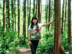 -凤栖山