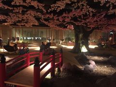 -蓝鲸湾汤泉(包河店)