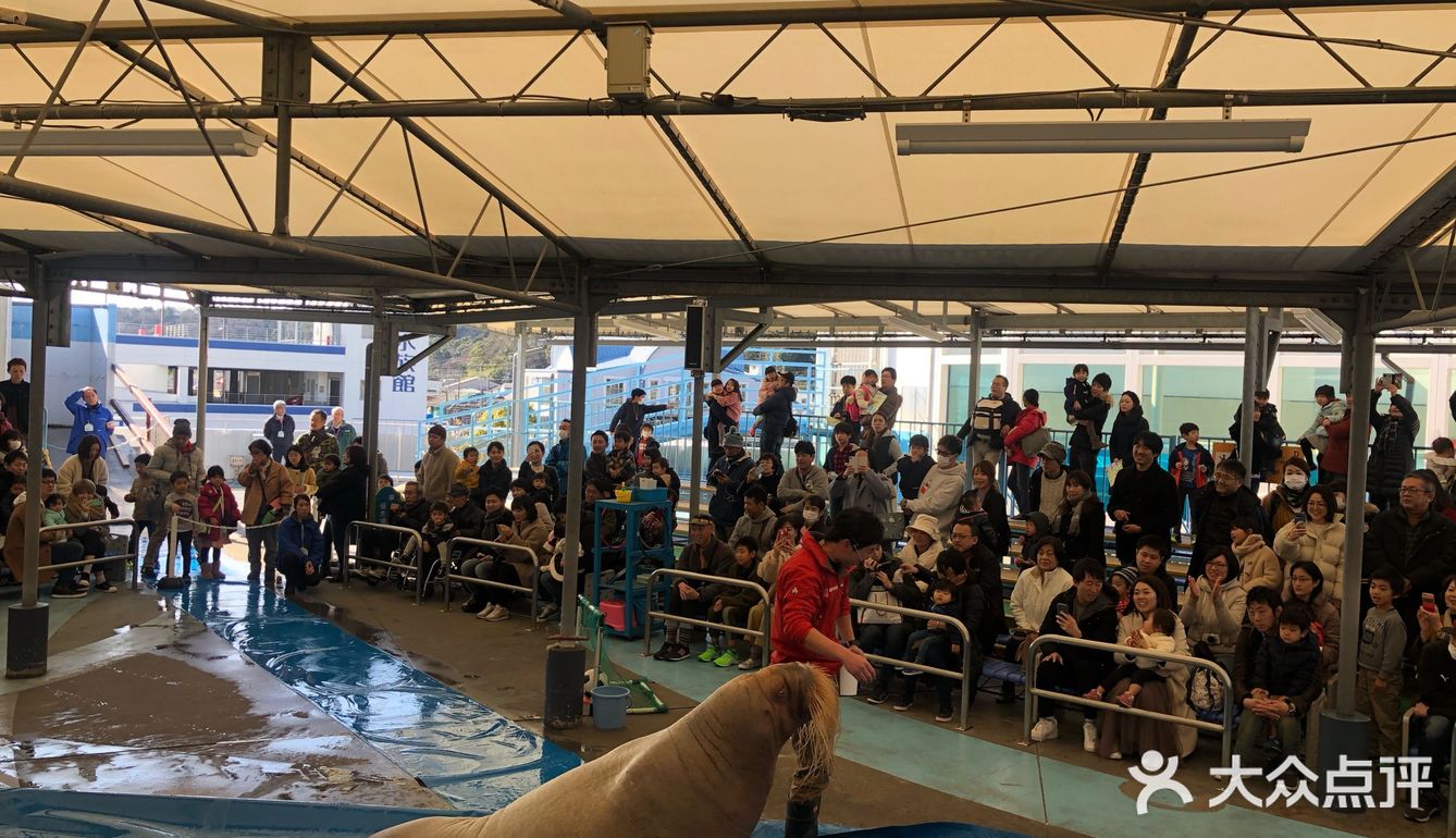 鸟羽水族馆