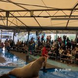 鸟羽水族馆