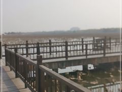 -天津东丽湖风景区