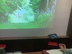 -观唐足道SPA养生会馆(南湖店)