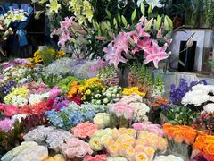 -朝来春花卉市场