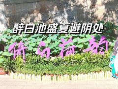 -上海醉白池公园
