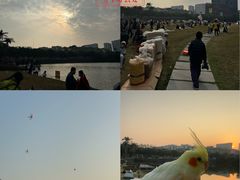 -和信广场(狮山店)