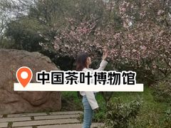 -中国茶叶博物馆(双峰馆区)