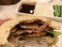 -九花山烤鸭店