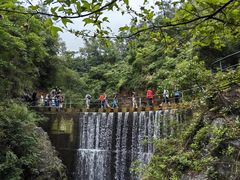 -大奇山国家森林公园