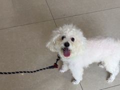 -瑞派福兴宠物医院犬猫全科·骨科·中西医结合(河东店)