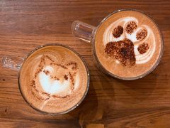-猫小院猫主题餐厅(南锣旗舰店)