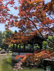 -丁香花园申粤轩·宴会厅