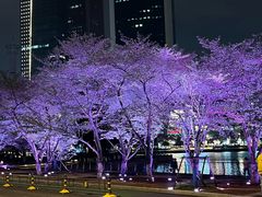 -西北湖绿化广场