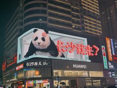 -黄兴南路步行商业街