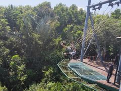 -呀诺达热带雨林