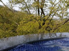 -天目湖御水温泉·度假酒店