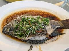 清蒸罗鲱鱼-禄运轩(凯骏都会店)