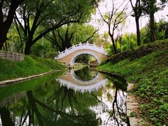 -北坞公园