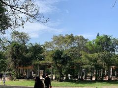 -南国桃园旅游度假区