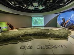 -陕西自然博物馆