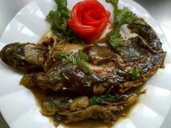 -爱月宝月嫂·育儿嫂(哈尔滨总店)