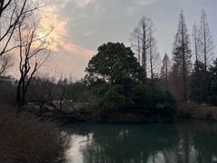 -上海滨江森林公园