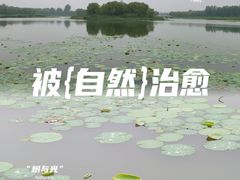 -南海子公园