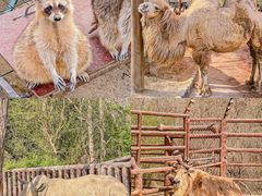 -济南野生动物世界