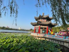 -济南大明湖景区
