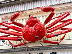 -蟹道乐(道顿堀本店)