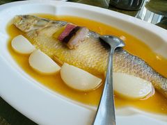 -悦泰环球美食自助(金茂旗舰店)