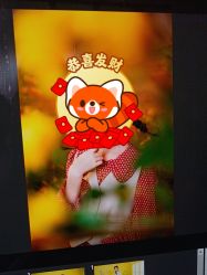 -爱儿美儿童摄影(五路居花园别墅店)