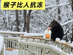 -海螺沟风景区