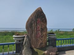 -合肥滨湖国家森林公园