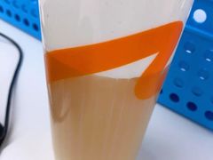 法式奶霜茗茶-CoCo都可(燕塘店)