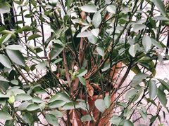 -湘邻呷铺·田园家宴(汉基广场店)