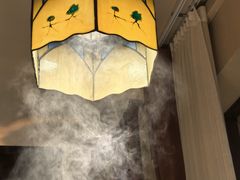 -慢丽江·云南野生菌土鸡锅(付家庄店)