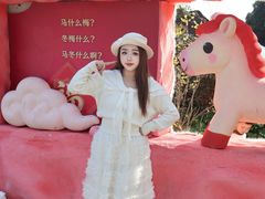 -无锡梅园公园