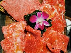 -俺的焼肉(銀座9丁目店)