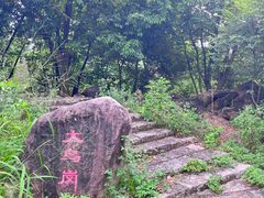 -番禺大夫山森林公园