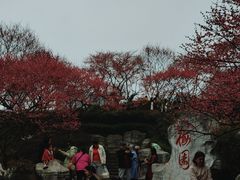 -重庆彩云湖湿地公园