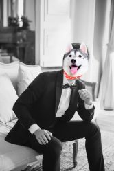 点击看大图 -THE QUEEN(北京店)