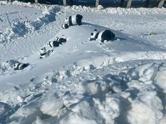 -霸王河欢乐世界