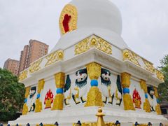 -护国法轮寺