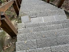 -云碧峰国家森林公园