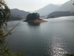 -广州市流溪河国家森林公园
