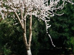 -三里河公园