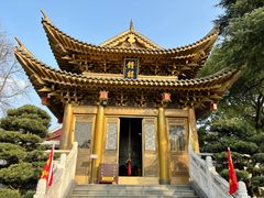 -上海东林寺(金山区)