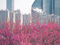 -天鹅湖体育公园