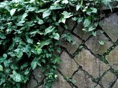 -乌山风景区